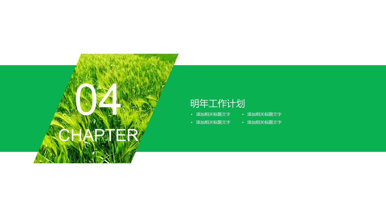 农业 (12).pptx